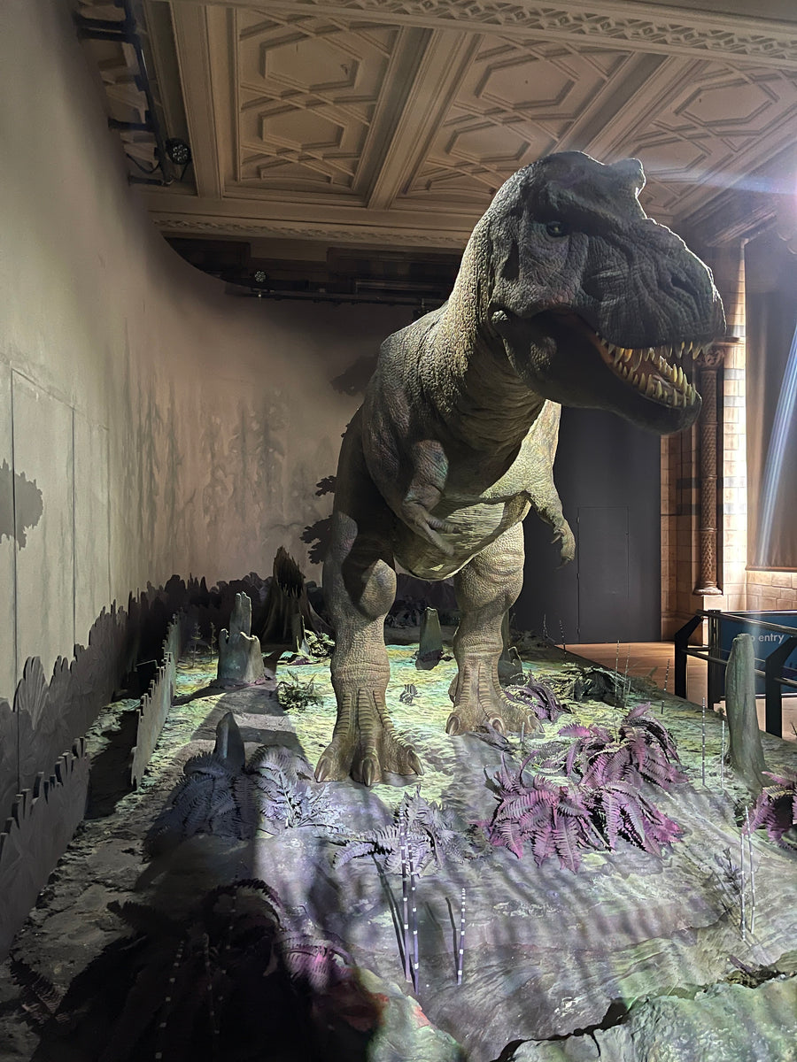 Natural History Museum memories Sarah's Creative Chocolate Kitchen