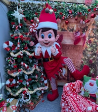 Load image into Gallery viewer, 2026 - BREAKFAST with Giggles The Elf - Tuesday 22nd Dec 2026 - 9am - 10am - ALL TICKET EVENT